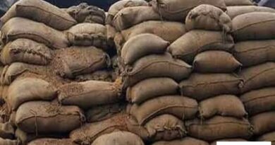 दस से पन्द्रह लाख रुपये का जिला कैथल के गोदाम में रखा गेहूं खराब / पहले भी उजागर हो चुकी ऐसी लापरवाही!*