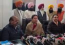 पूर्व सांसद परनीत कौर का खुलासा / भाजपा में ही रहेगा पूर्व सीएम कैप्टन सहित पूरा परिवार*