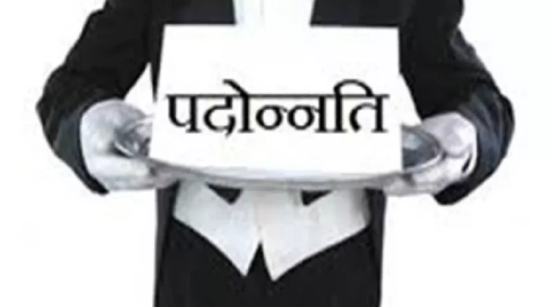 हरियाणा में 33 कानूनगो बने नायब तहसीलदार/ सरकार ने जारी किए तबादला एवं पोस्टिंग आदेश /देखे आदेश की कॉपी*